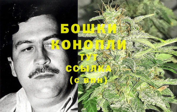 мдпв Богородск