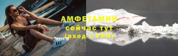 мдпв Богородск