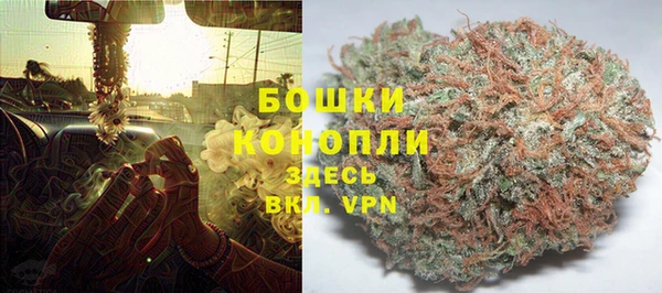 мдпв Богородск
