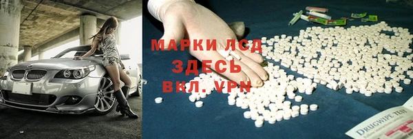 мдпв Богородск