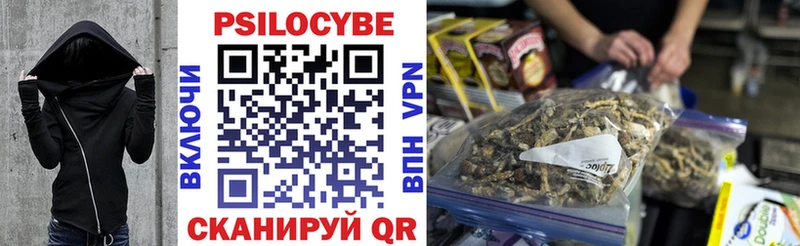 shop наркотические препараты  Дмитров  Псилоцибиновые грибы GOLDEN TEACHER 